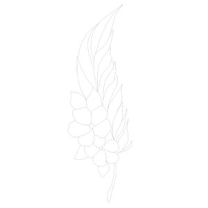 Patron Pluma