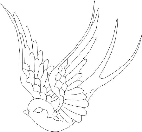 Patron Golondrina